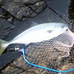 ご無沙汰でした